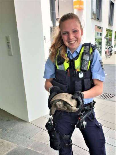 https://cdn1.spiegel.de/images/image-1435275-860_galleryfree-lqug-1435275.jpg