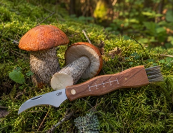 Herbertz CJH Pilzmesser mit Bürste Herbertz CJH Pilzmesser mit Bürste