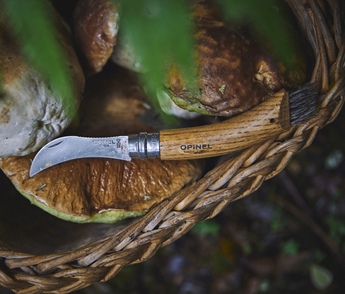 Opinel No 08 Pilzmesser, Eichenholz Opinel No 08 Pilzmesser, Eichenholz