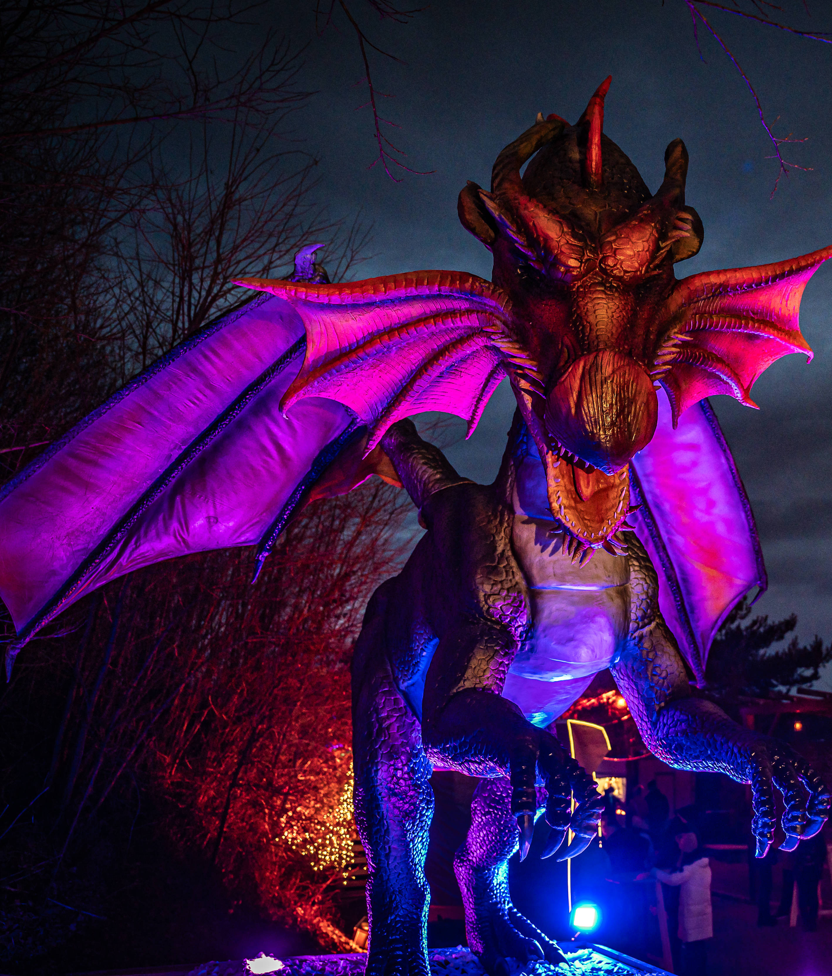 Dragons3@EMS